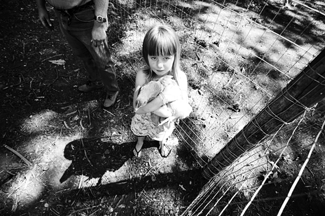 chicken catcher