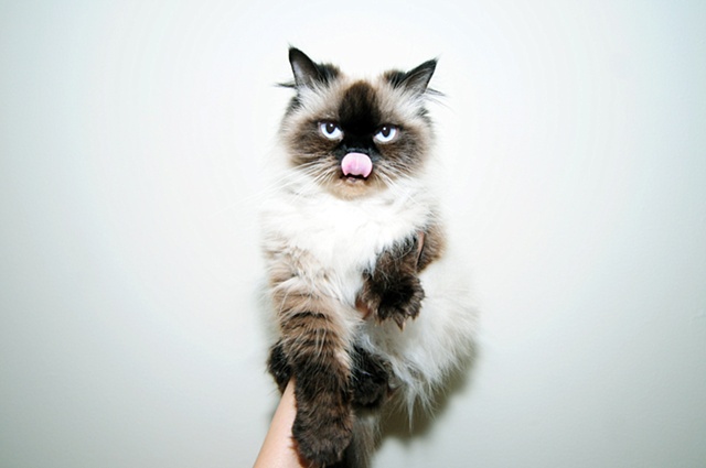 hey pussycat