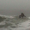 into the fog