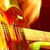 andrew bird
