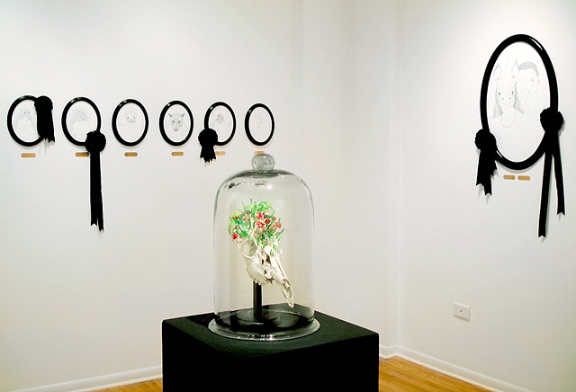 Wunderkammer - Documentation from solo show at Kasia Kay Art Projects