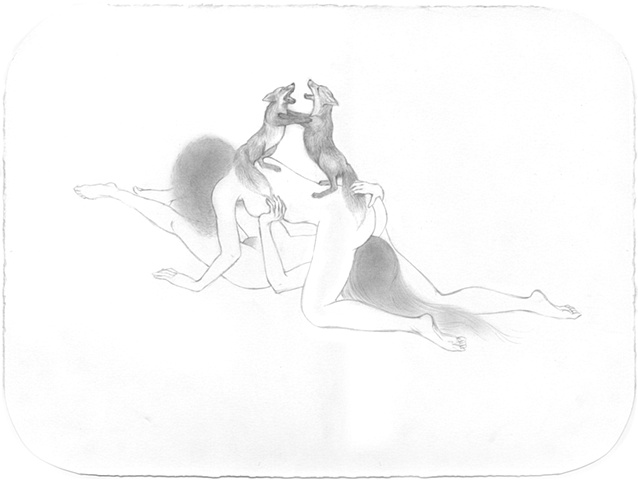 Fox Fight