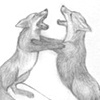 Fox Fight