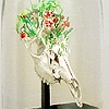Wunderkammer - Documentation from solo show at Kasia Kay Art Projects