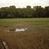 Victoria Park, 30 April 1978