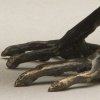 crow