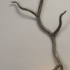 sconce