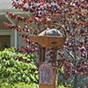 Sculpture for Ovitt residence