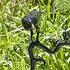 Gate topper for Card residence