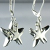 Starfish