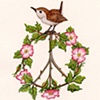 Peace Wren - A Crown of Thorns to Bear