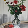 Still Life with Zinnias - Study II
