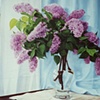 Lilacs in Lenox