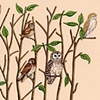Owl Wood