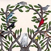 The Tree of Bird Life