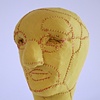 Head 6 
