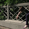 Historic Fence