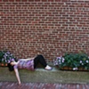 Flower Wall