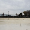 November Swim