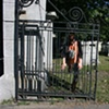 Cemetery Gates