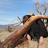 "Death Tree"