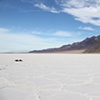 "Salt Arm"