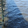 "Filmy Waters"