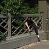 Historic Fence