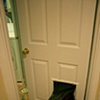 Dog Door