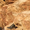 "Arizona Rocks"