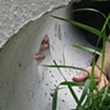 Inside Concrete Block