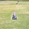 "With Michael Heizer"