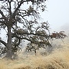 "Rainyhay"