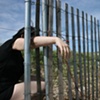 Cape Cod Fence