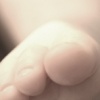The Feet