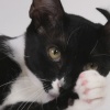 Bootsy