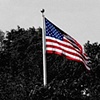 Blue Angels Flag