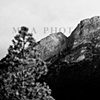 Mt. Charleston