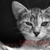 Portraits