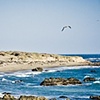 Pacific Coast Highway