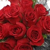 Bold Red Kiss