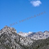 Mt. Charleston 2