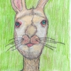 Jack Rabbitman