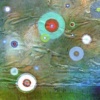 MICRO MEADOW 07