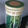 TEST TUBES: DETAIL, PLANT SAMPLE 01