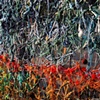 FENCE: DETAIL