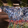 FENCE: NIGHT DETAIL