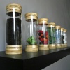TEST TUBES: PERSPECTIVE VIEW