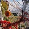 FENCE: DETAIL