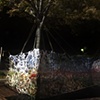 FENCE: AT NIGHT